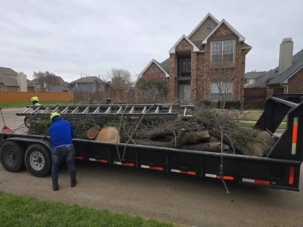 Expert Tree Fertilization with proper safety equipment in Cumming